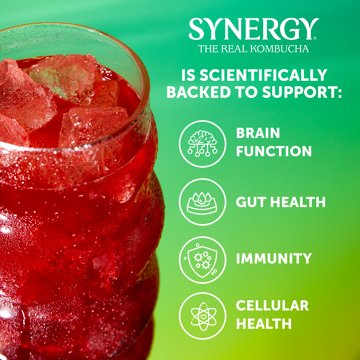 GT's Enlightened Synergy Trilogy Organic Kombucha, 16 oz
