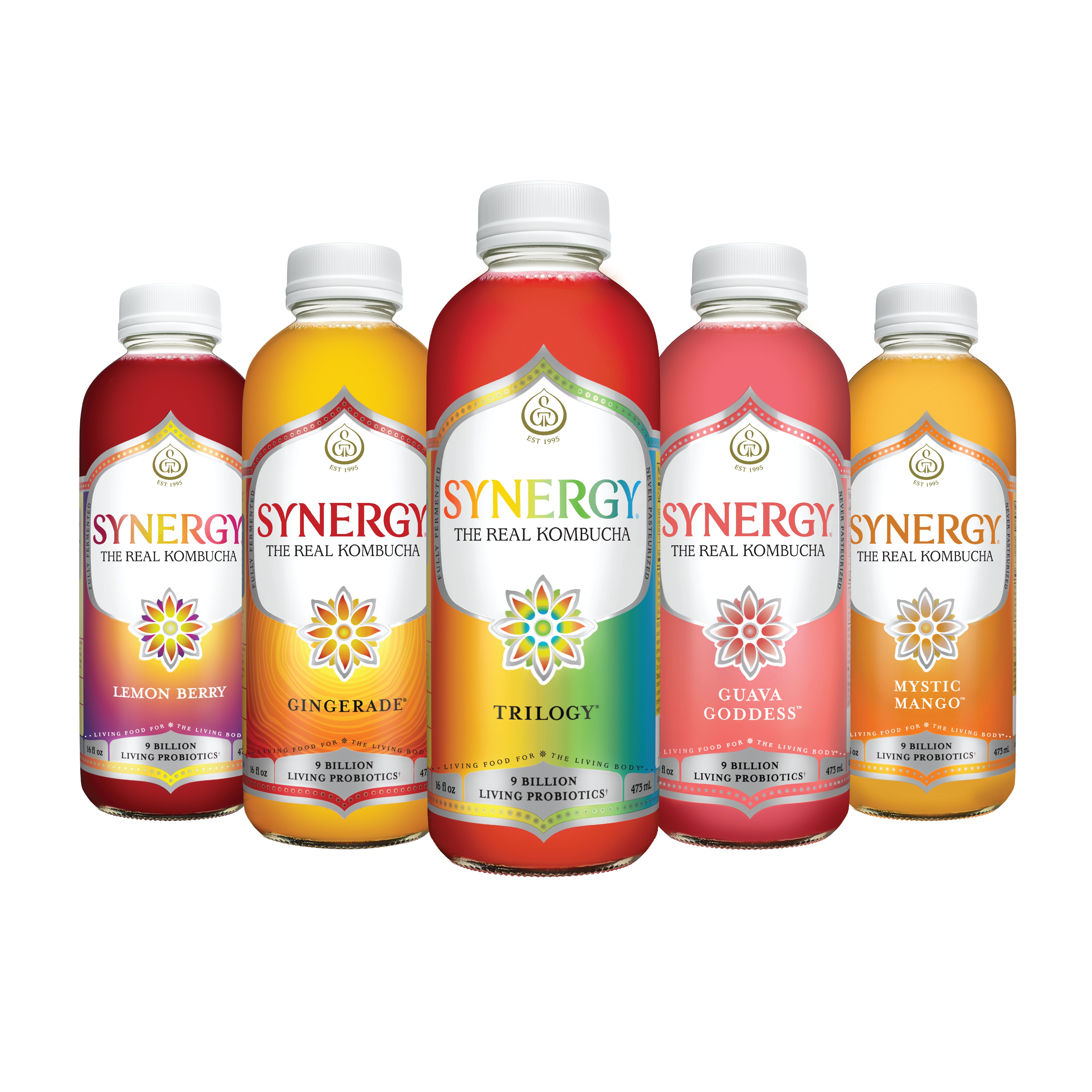 GT's Enlightened Synergy Trilogy Organic Kombucha - Shop Tea at H-E-B