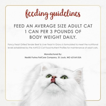 Fancy Feast Purina Grilled Wet Cat Food - Beef and Liver Feast in Gravy