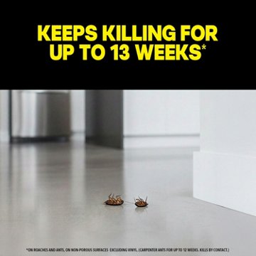 Raid Ant & Roach Killer 26 - Lemon