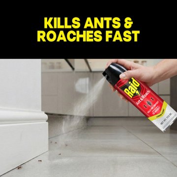Raid Ant & Roach Killer 26 - Lemon