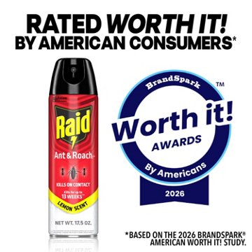 Raid Ant & Roach Killer 26 - Lemon