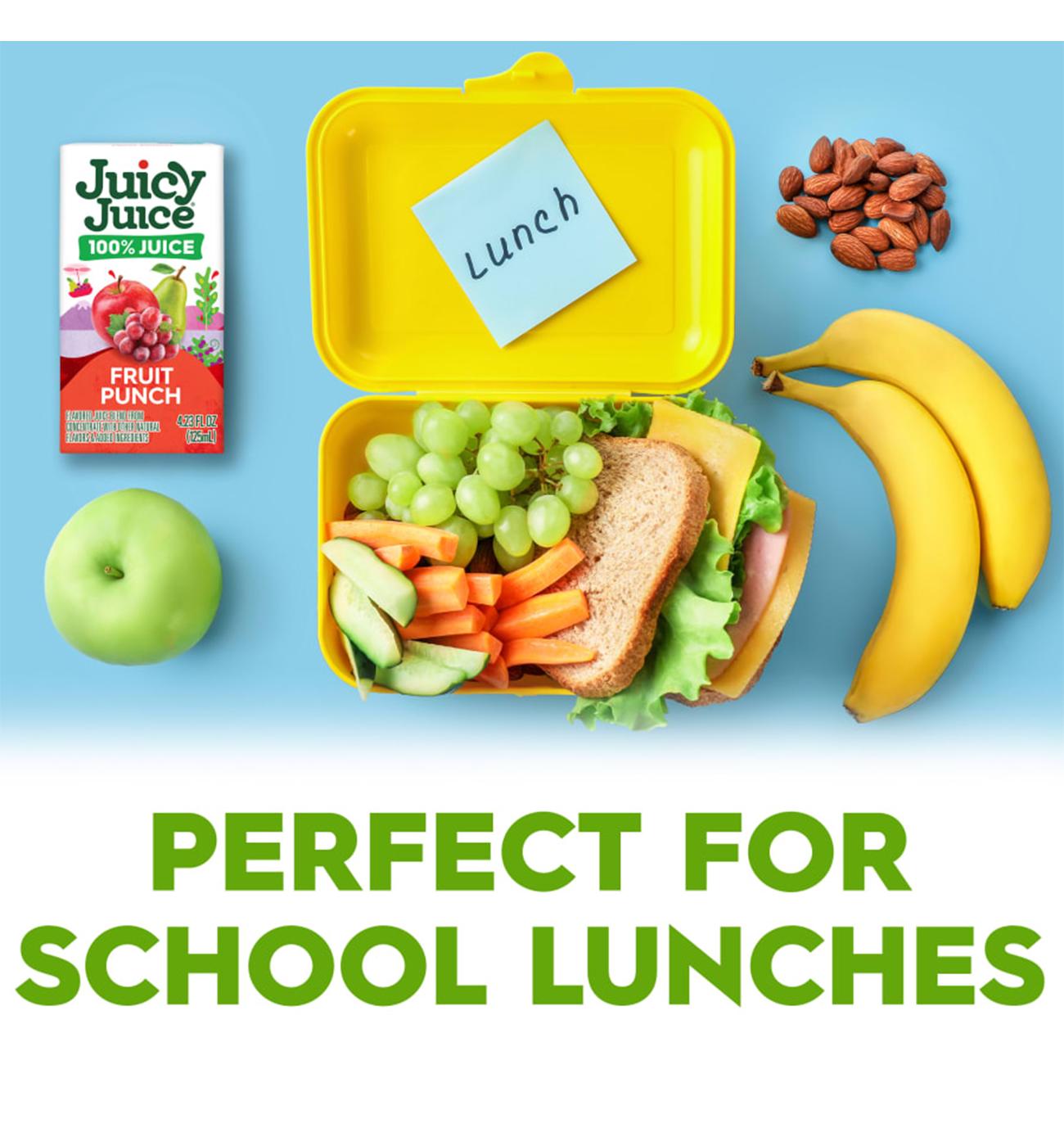 Juicy Juice 100% Fruit Punch 8 pk Juice Boxes; image 2 of 5