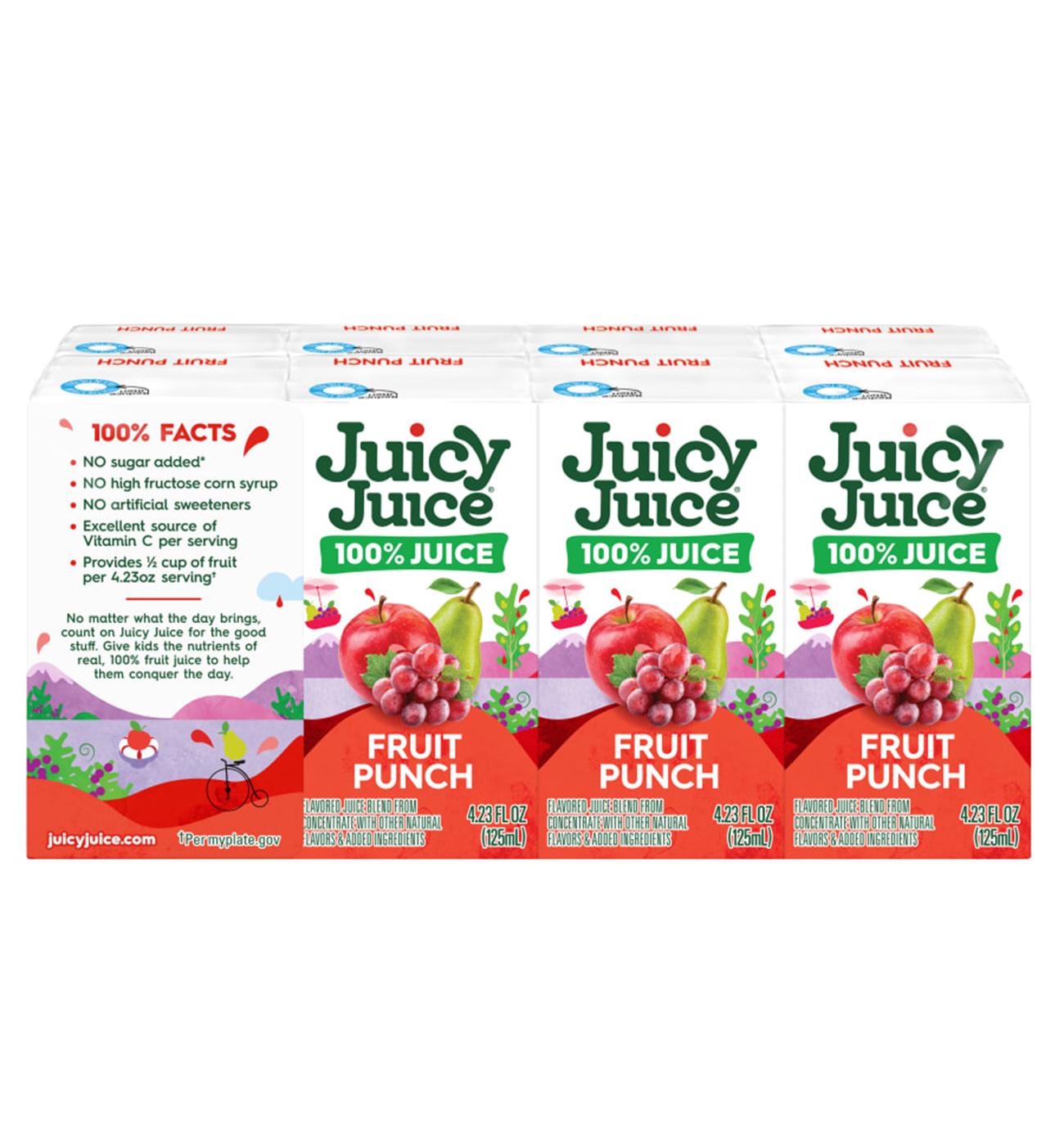 Juicy Juice 100% Fruit Punch 8 pk Juice Boxes; image 4 of 5