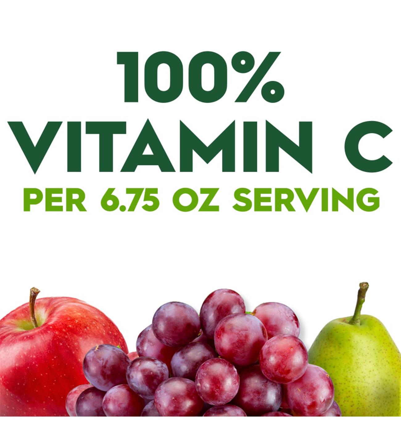 Juicy Juice 100% Fruit Punch 8 pk Juice Boxes; image 4 of 5