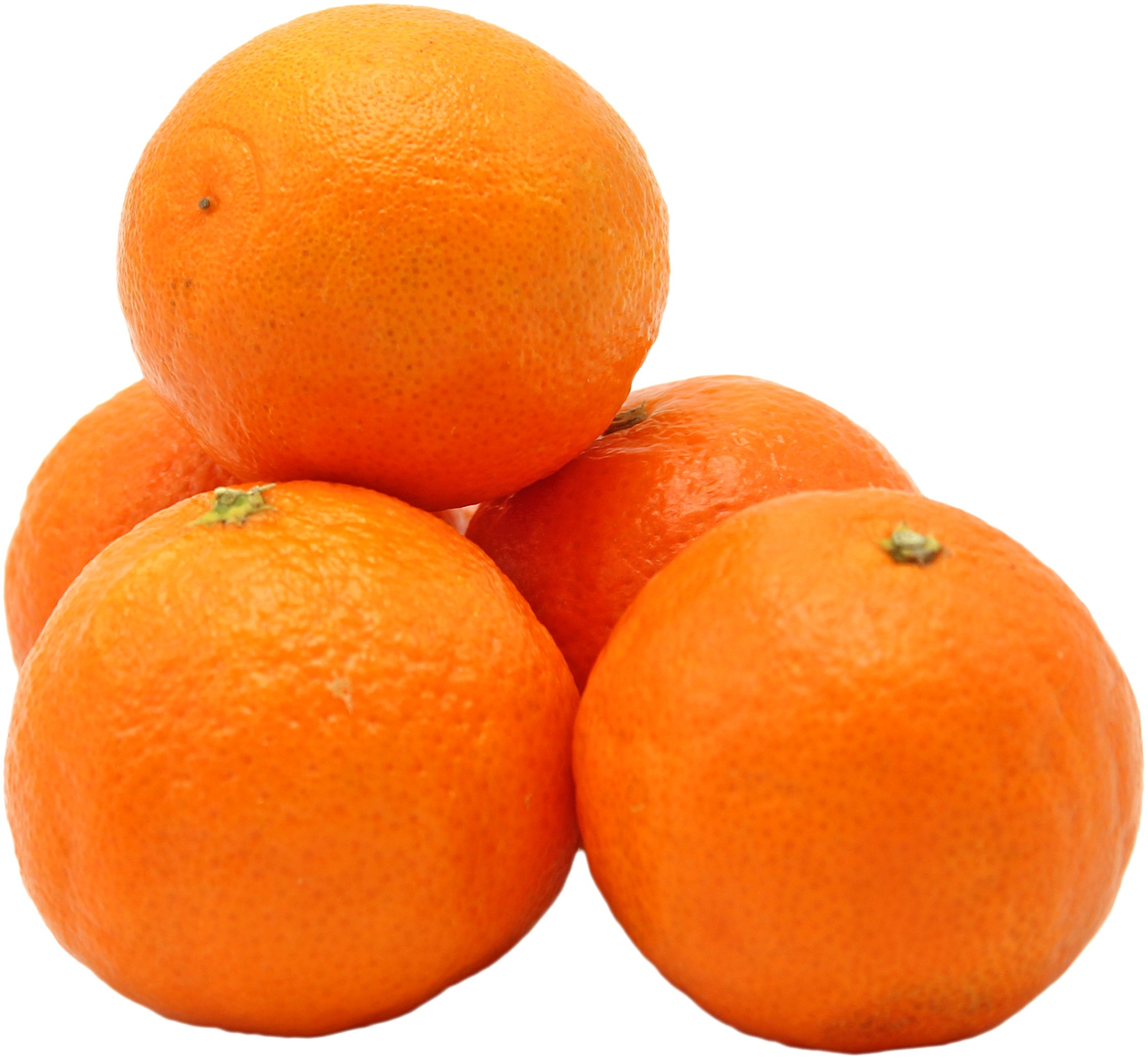 Fresh Kishu Mandarin, by lb | Central Market - Really Into Food