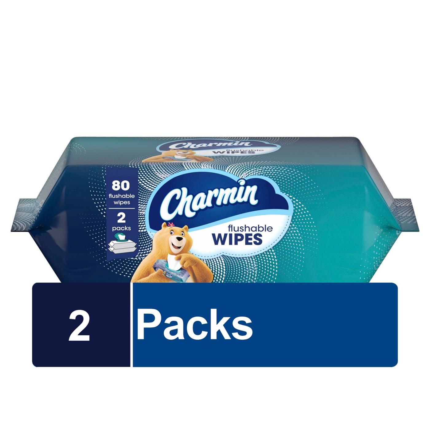 Charmin Charmin Flushable Moist Wipes; image 1 of 8