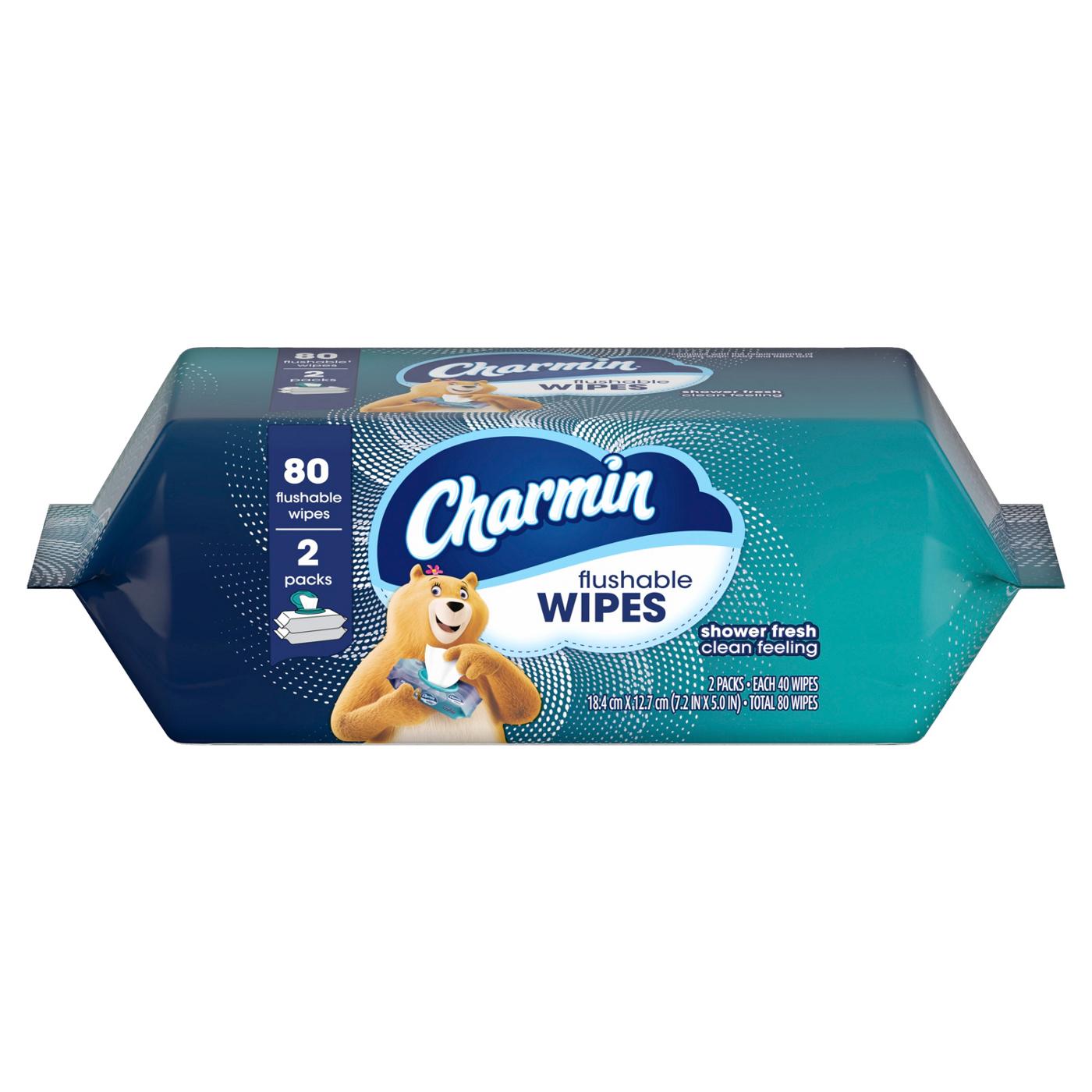 Charmin Charmin Flushable Moist Wipes; image 3 of 8