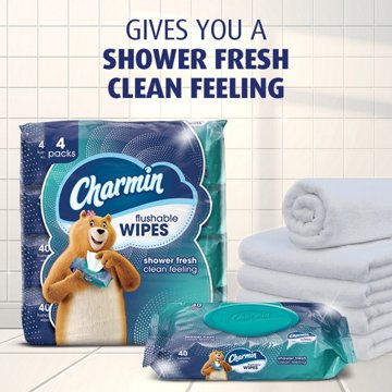 Charmin Charmin Flushable Moist Wipes, 80 ct