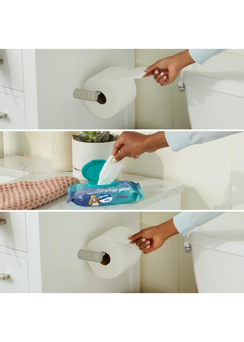 Charmin Flushable Moist Wipes; image 7 of 9