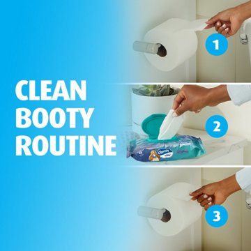 Charmin Charmin Flushable Moist Wipes, 80 ct