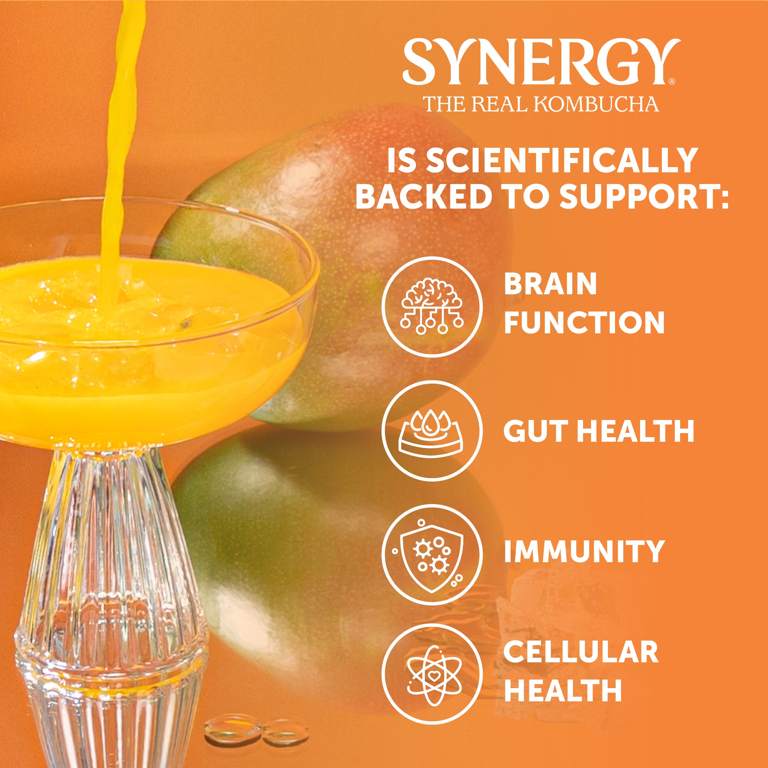 GT's Mystic Mango Kombucha - Shop Tea at H-E-B