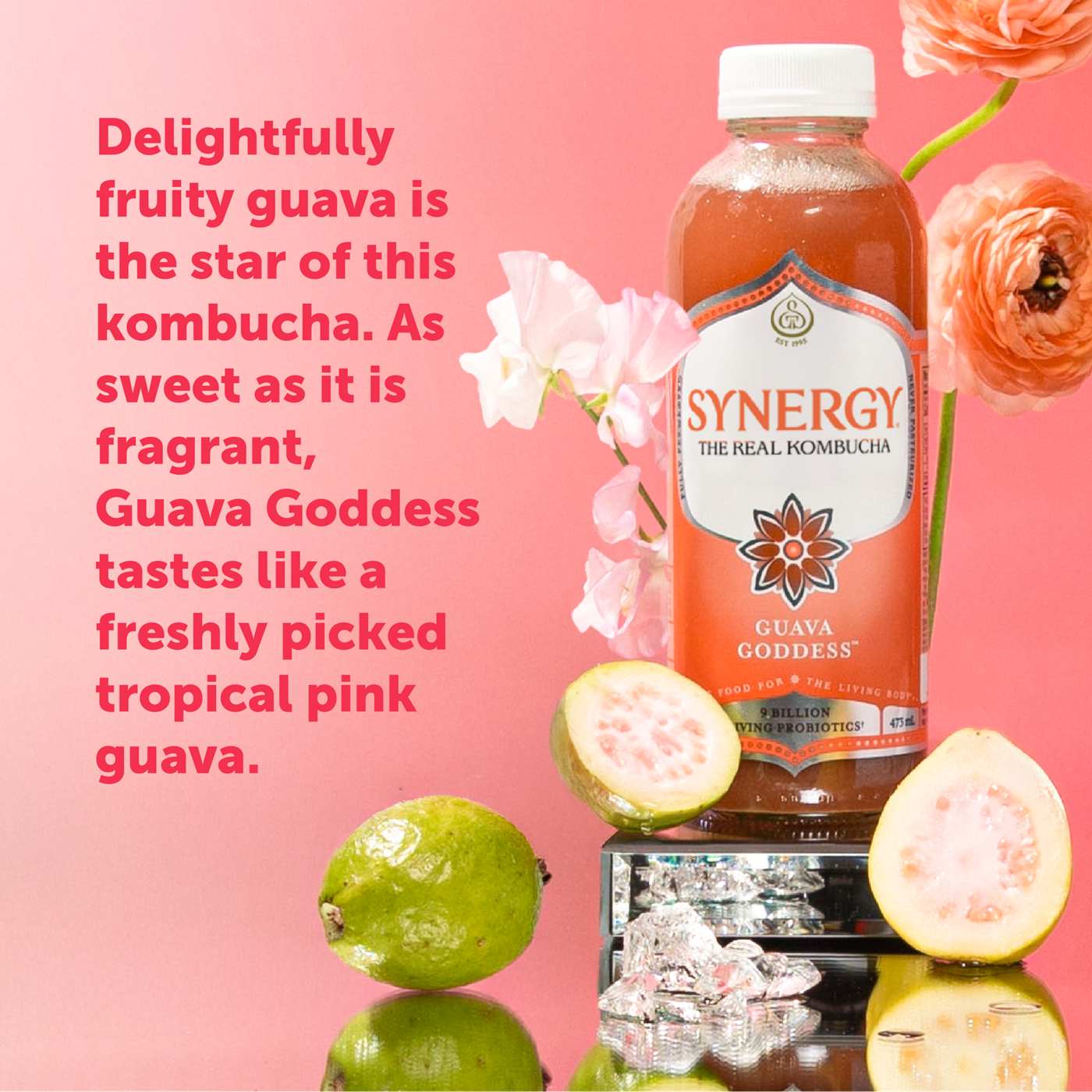 GT's Guava Goddess Kombucha; image 3 of 7