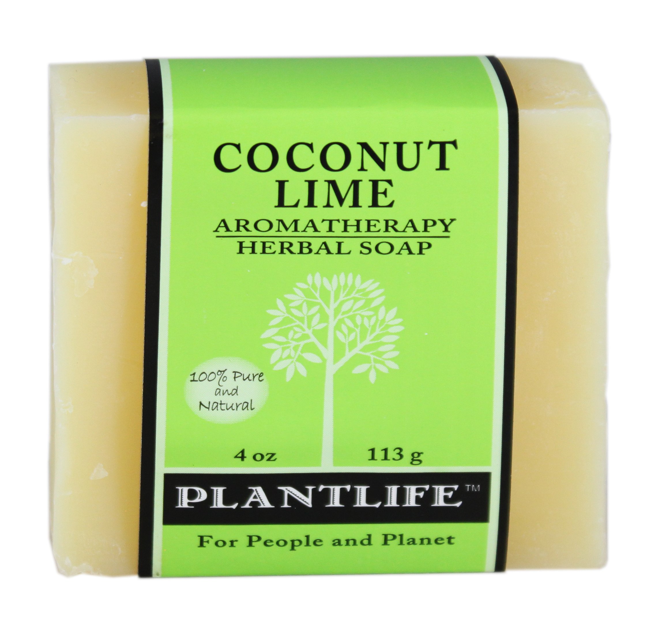 Plantlife Coconut Lime Bar Soap Shop Hand & Bar Soap at HEB