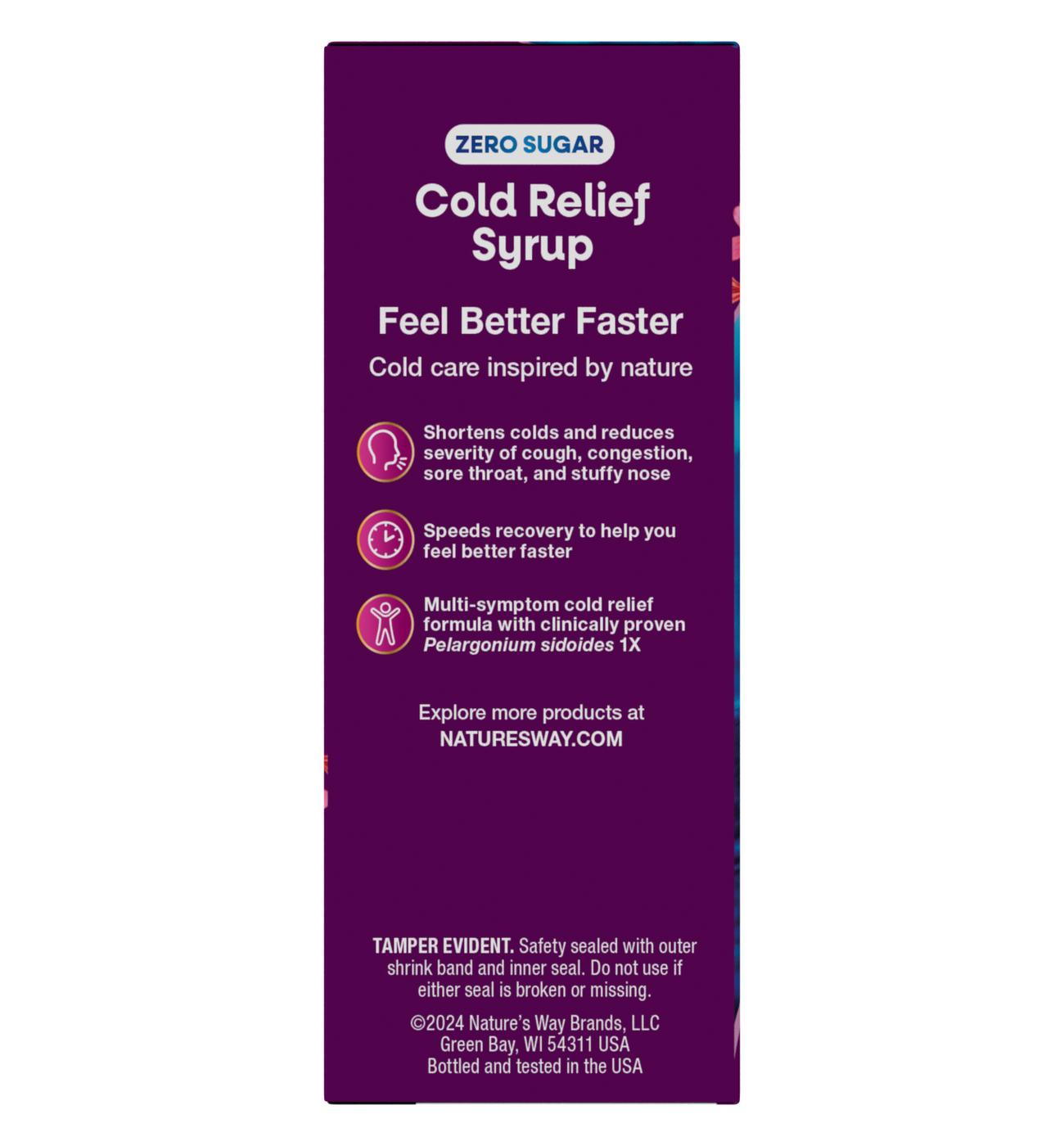 Nature's Way Zero Sugar Umcka Cold Relief Syrup - Grape Flavor - Shop ...