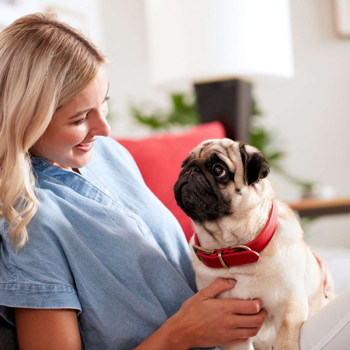 MilkBone Original Biscuits Small Dog Treats; image 3 of 8