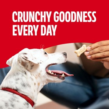 MilkBone Original Biscuits Small Dog Treats, 24 oz