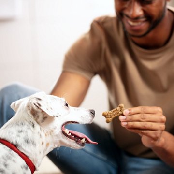 MilkBone Flavor Dog Snacks Small Dog Treats, 60 oz