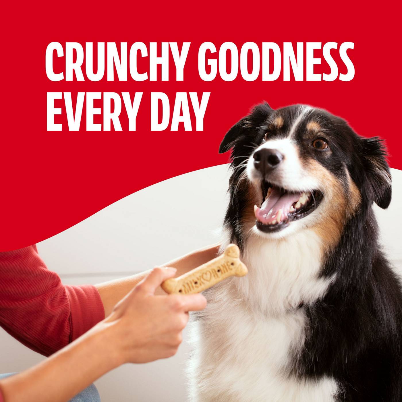 MilkBone Original Biscuits Large Dog Treats; image 5 of 8