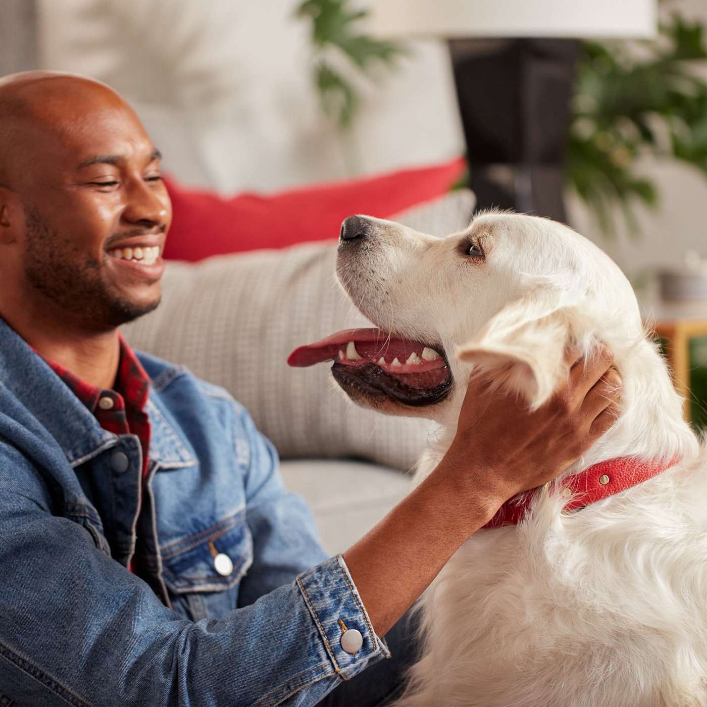 MilkBone Original Biscuits Large Dog Treats; image 3 of 8