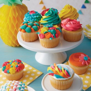Wilton Cupcake Decorating Set