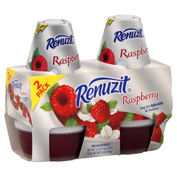 Renuzit Adjustable Long Last Raspberry Air Freshener 2 CT Shop Air