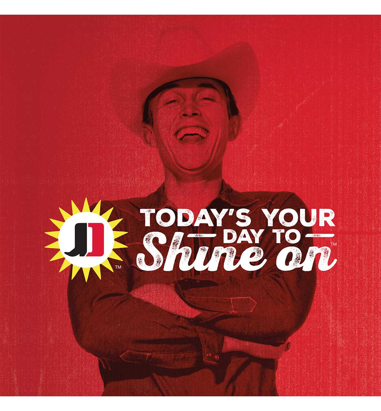 Jimmy Dean Fully Cooked Turkey Breakfast Sausage Links, 12 ct Shop