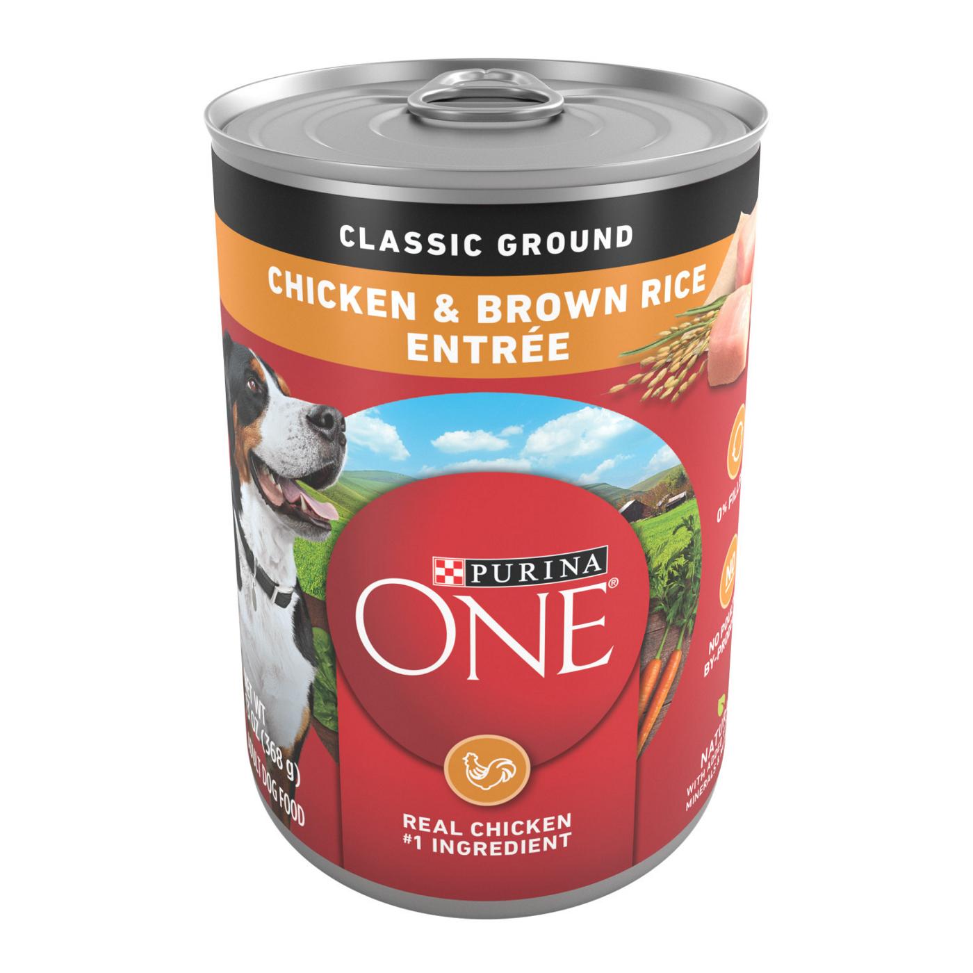 Purina ONE Purina ONE Classic Ground Chicken and Brown Rice Entree Adult Wet Dog Food; image 1 of 6