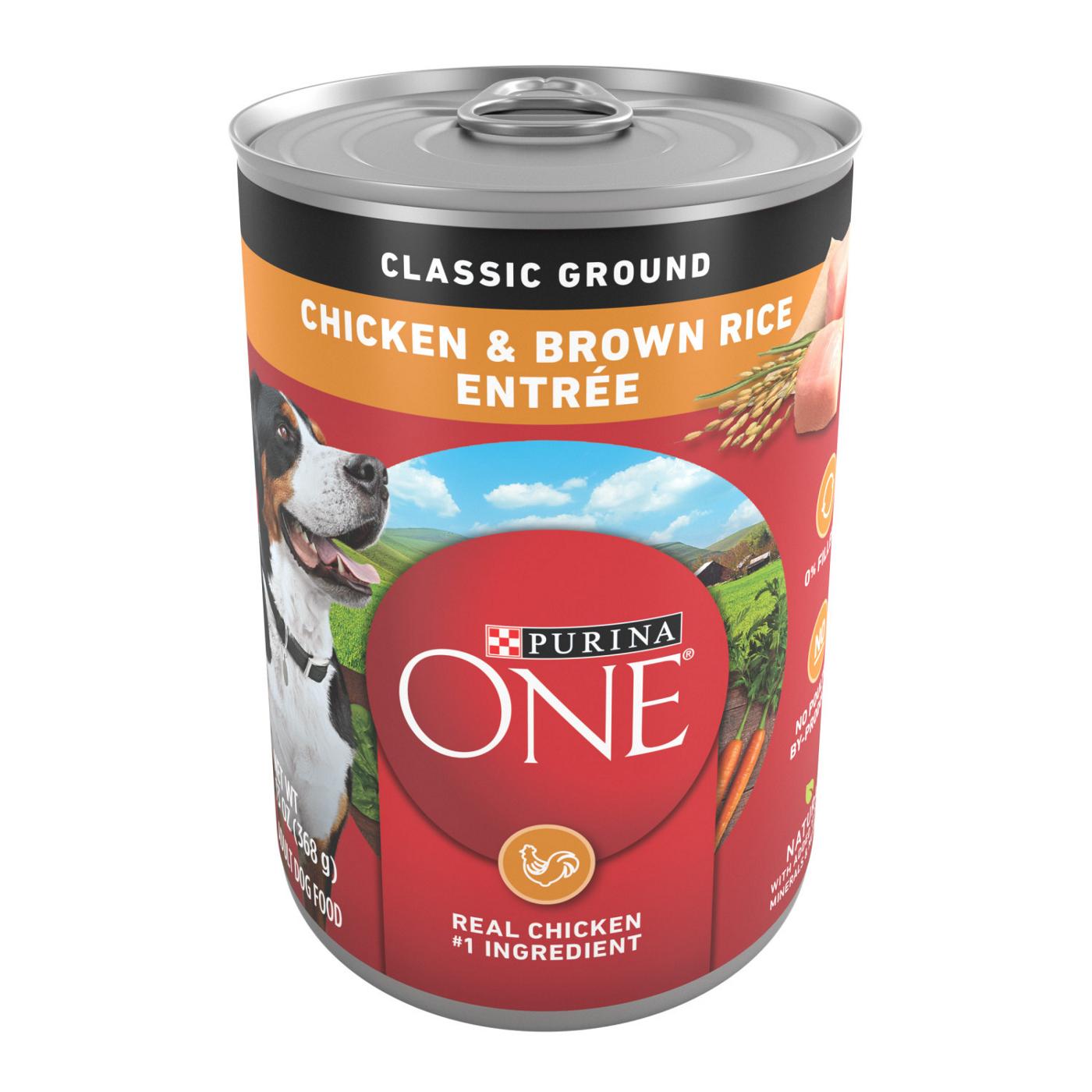Purina ONE Classic Entree Adult Wet Dog Food - Ground Chicken and Brown Rice; image 1 of 6