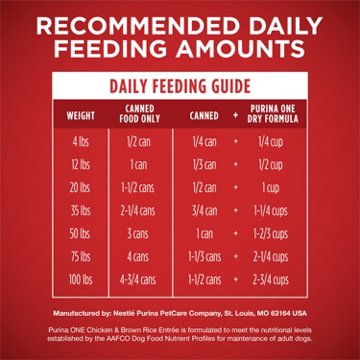 Purina ONE Classic Entree Adult Wet Dog Food - Ground Chicken and Brown Rice, 13 oz