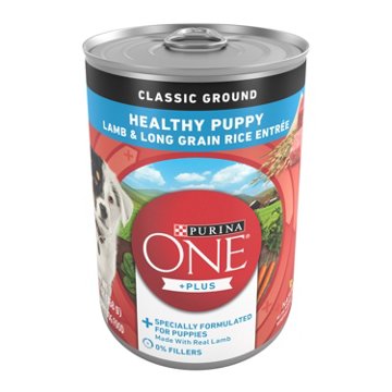 Purina ONE Plus Wet Puppy Food Classic Ground Healthy Puppy Entrée - Lamb and Long Grain Rice, 13 oz