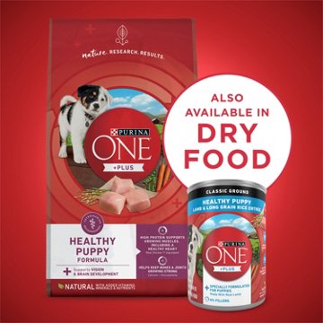 Purina ONE Plus Wet Puppy Food Classic Ground Healthy Puppy Entrée - Lamb and Long Grain Rice, 13 oz