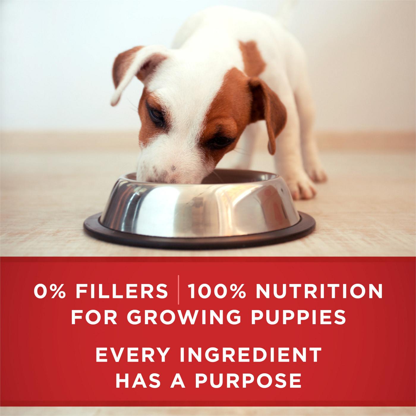 Purina ONE Purina ONE Plus Wet Puppy Food Classic Ground Healthy Puppy Lamb and Long Grain Rice Entree; image 5 of 6