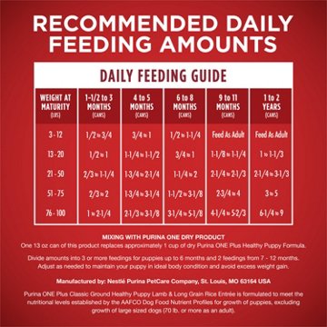 Purina ONE Plus Wet Puppy Food Classic Ground Healthy Puppy Entrée - Lamb and Long Grain Rice, 13 oz