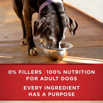 Purina ONE Plus Classic Ground Vibrant Maturity Adult 7 Plus Entree Senior Dog Food - Turkey And Barley