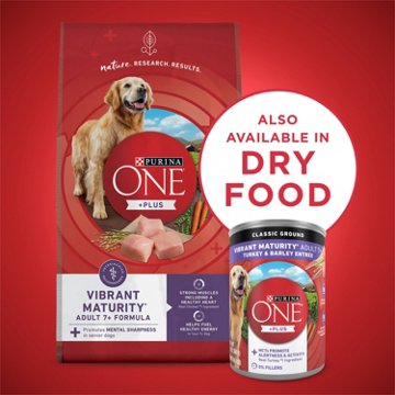 Purina ONE Plus Classic Ground Vibrant Maturity Adult 7 Plus Entree Senior Dog Food - Turkey And Barley