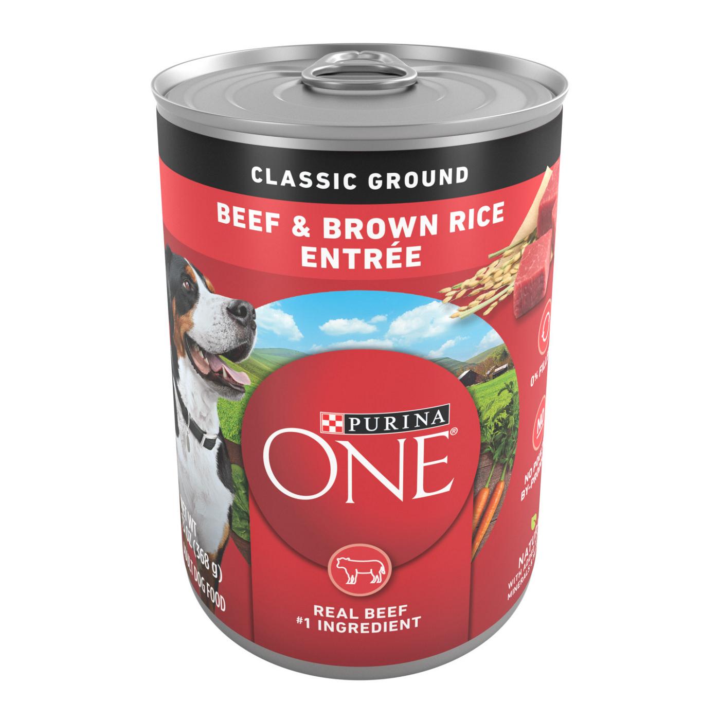 Purina ONE SmartBlend Natural Classic Beef Brown Rice Wet Dog