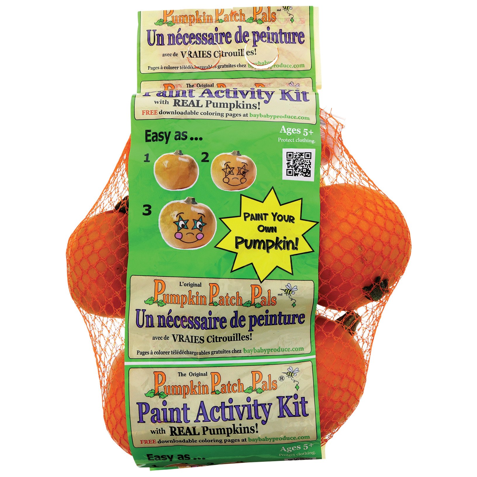 Pumpkin Patch Pals Pumpkin Pie Baking Kit