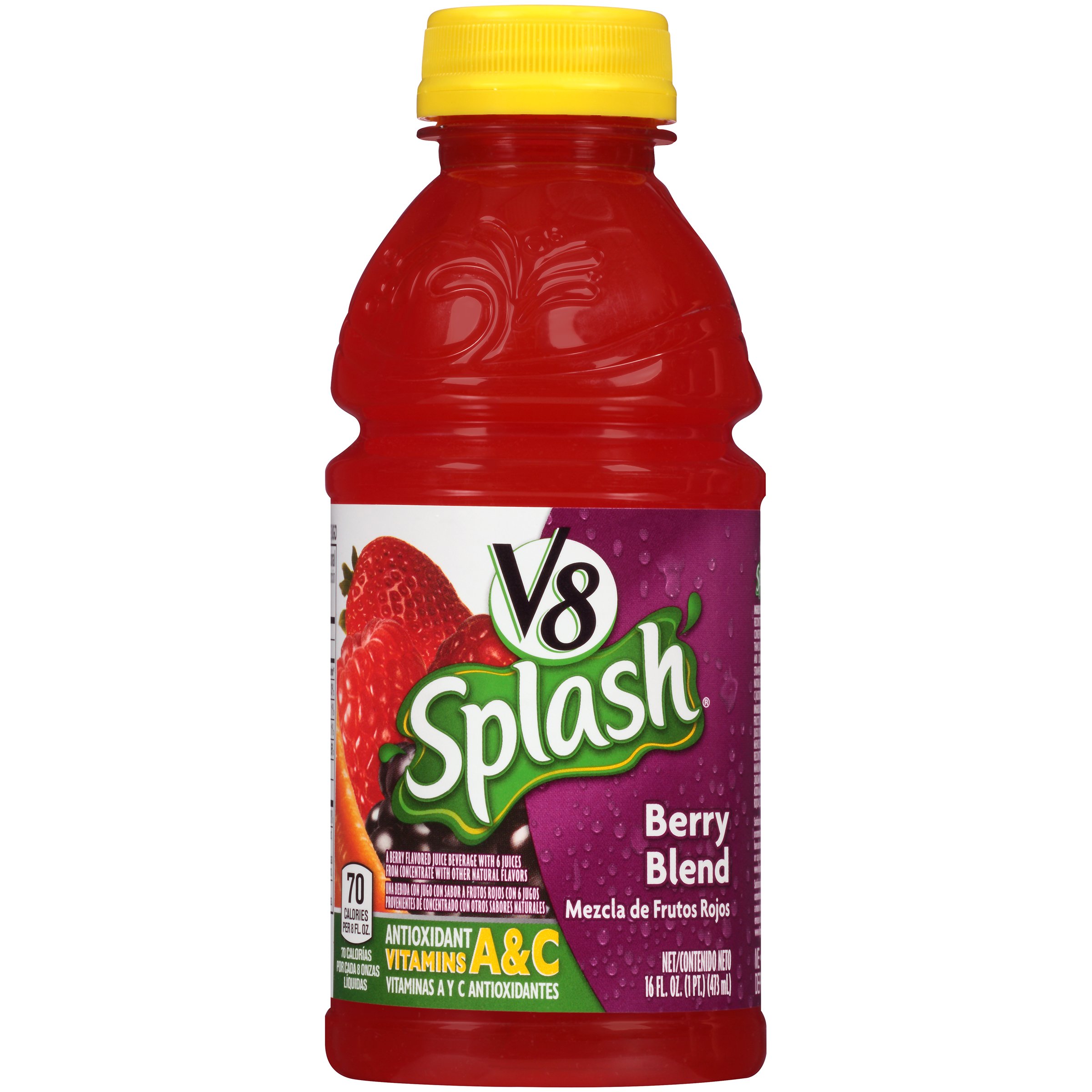 V8splash