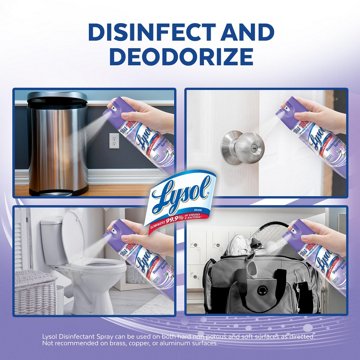 Lysol Disinfectant Spray - Early Morning Breeze