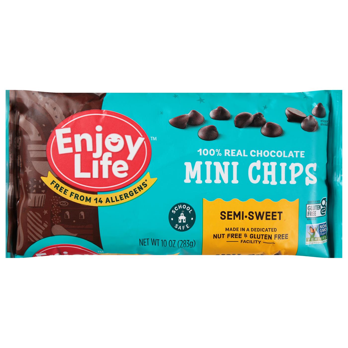 Enjoy Life Gluten Free Allergy Friendly Semi-Sweet Vegan Chocolate Mini Chips; image 1 of 5