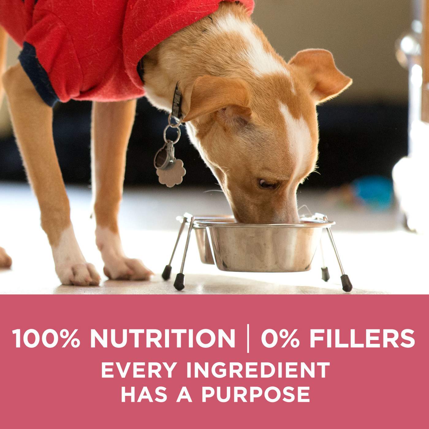 Purina ONE Purina ONE Natural, Sensitive Stomach Dry Dog Food, +Plus Skin & Coat Formula; image 5 of 7