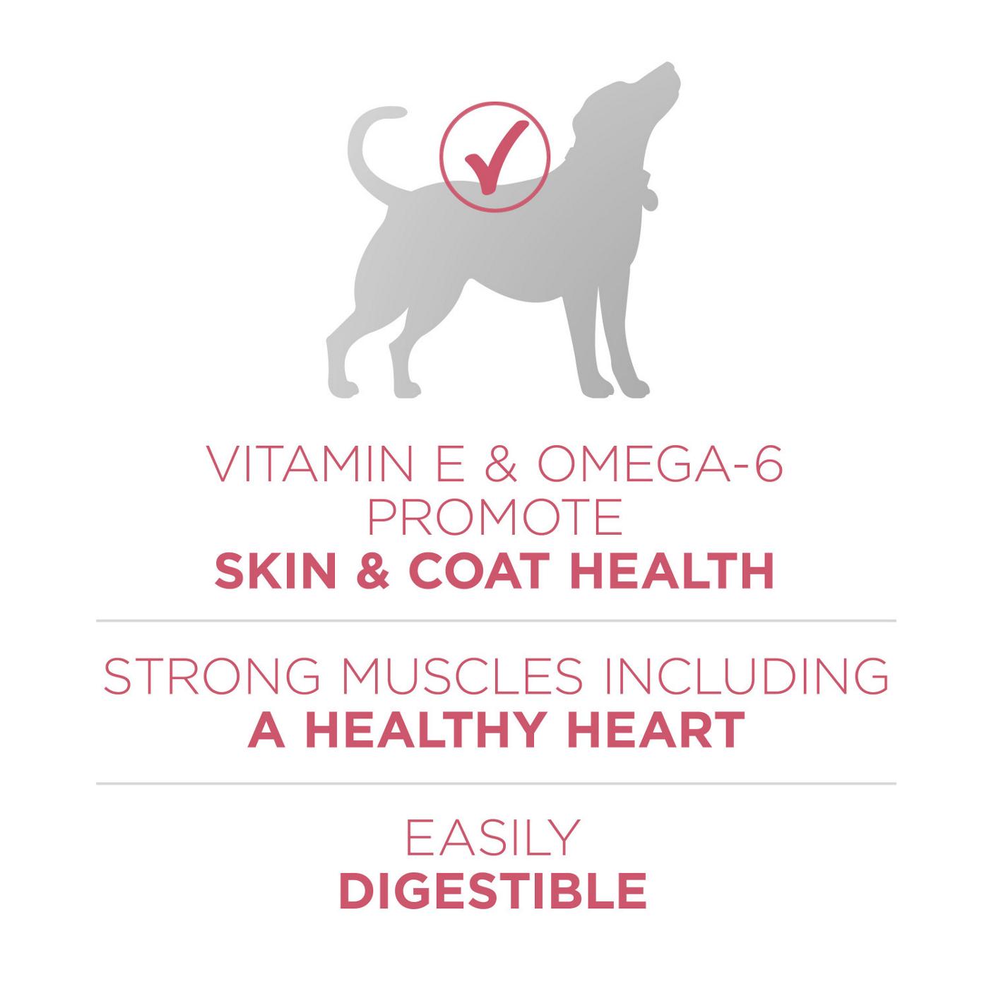 Purina ONE Purina ONE Natural, Sensitive Stomach Dry Dog Food, +Plus Skin & Coat Formula; image 6 of 7