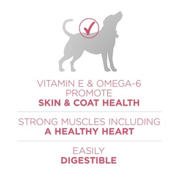Purina ONE Natural Sensitive Stomach Dry Dog Food +Plus Skin & Coat Formula, 16.5 lb