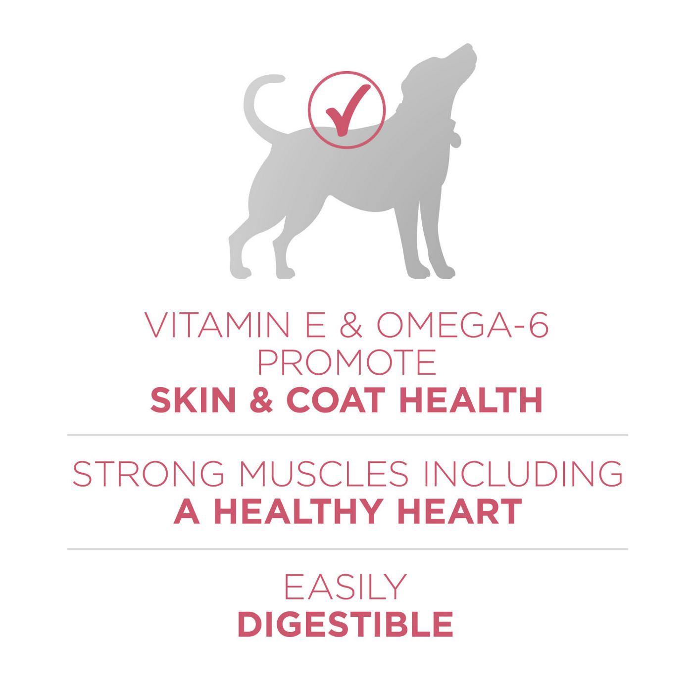 Purina ONE Natural Sensitive Stomach Dry Dog Food +Plus Skin & Coat Formula; image 8 of 9