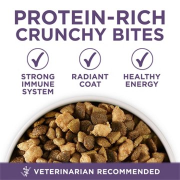 Purina ONE High Protein Dry Senior Dog Food Plus Vibrant Maturity Adult 7 Plus Formula