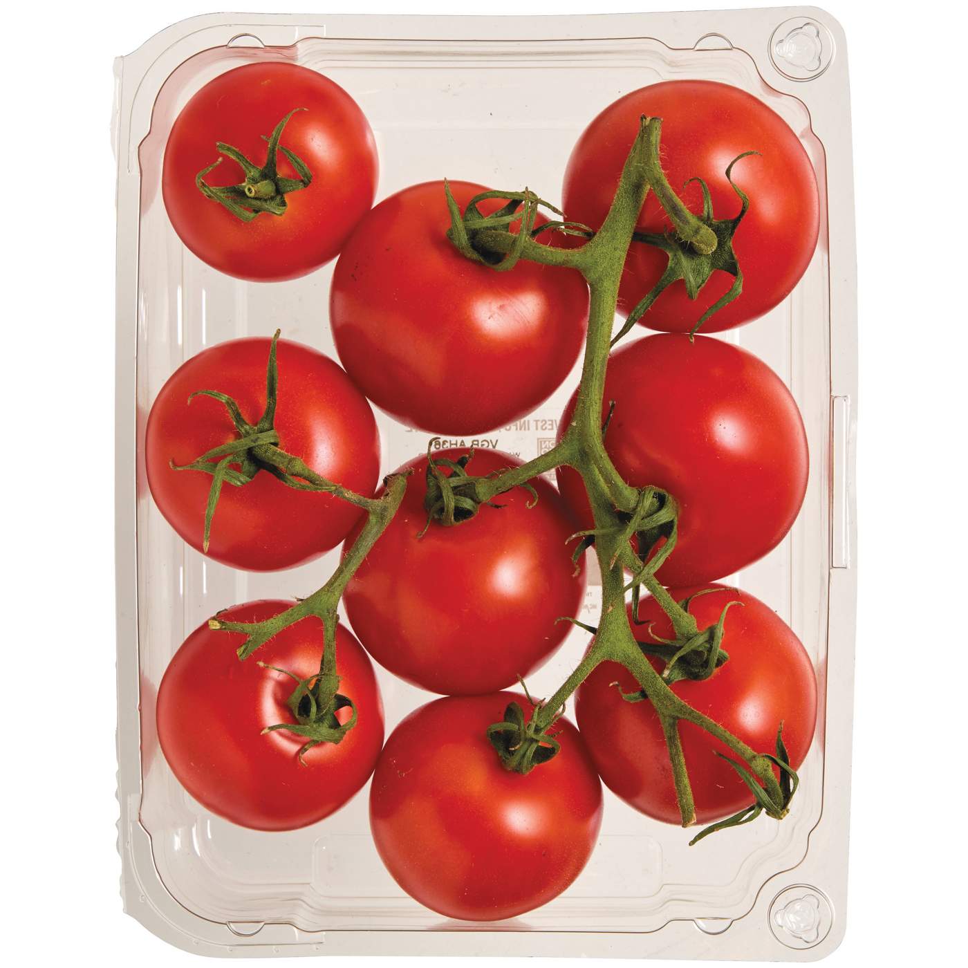 Fresh Campari Tomatoes ; image 2 of 2