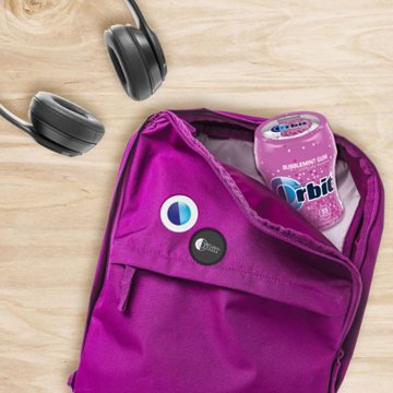 Orbit Bubblemint Sugar Free Chewing Gum, 55 pc