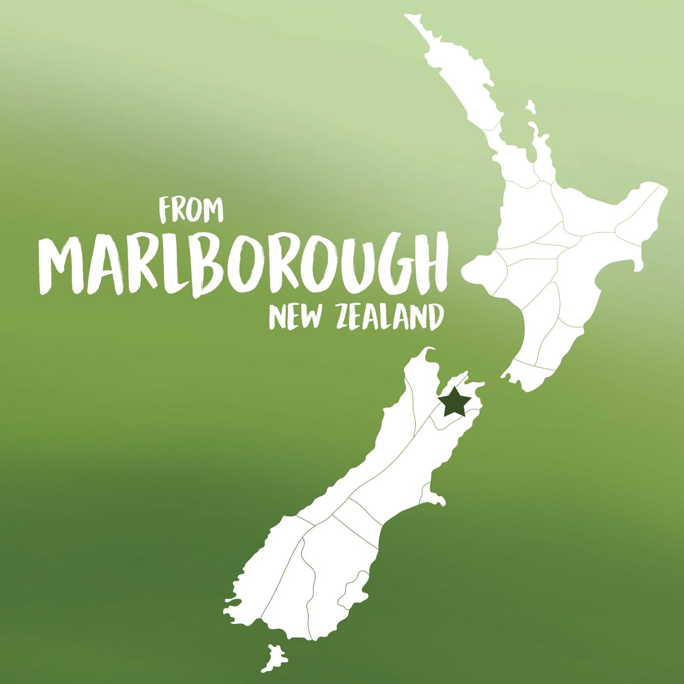 Starborough New Zealand Sauvignon Blanc White Wine; image 6 of 6