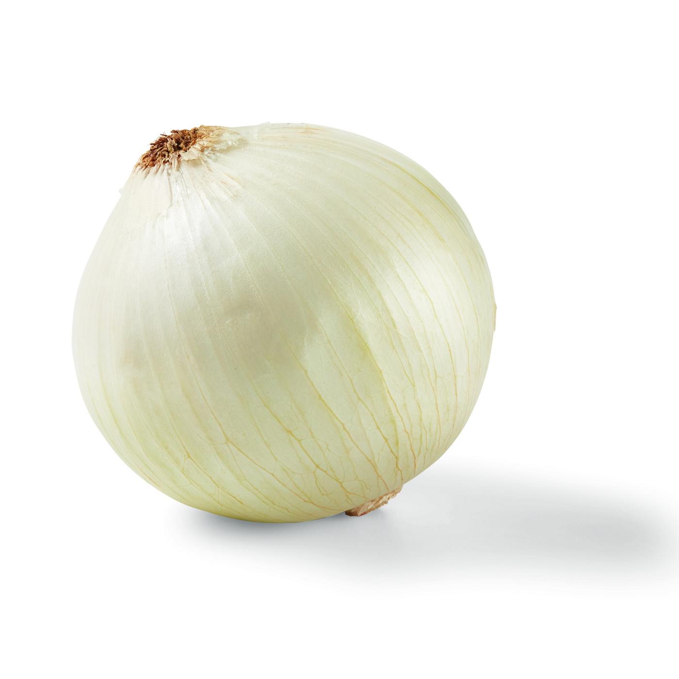 H-E-B Texas Roots Fresh White Onion; image 1 of 3